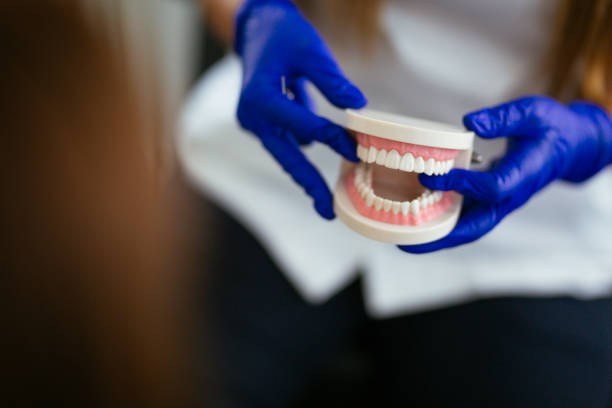 Reliable Lakeland South, WA Dental Services Solutions